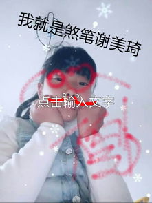 谢美琪游戏,探索虚拟世界的奇幻之旅(图1)
