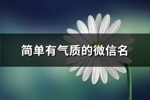 情侣游戏名简单气质,探寻情侣游戏中的甜蜜时光(图3)