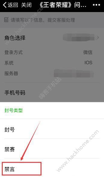 游戏被禁言怎么取消,游戏被禁言后的解封攻略(图2) 游戏被禁言怎么取消,游戏被禁言后的解封攻略(图2)