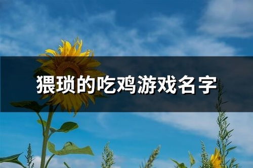 猥琐的游戏名字大全,揭秘猥琐游戏名背后的趣味与创意(图1)