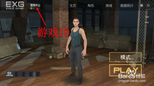放逐游戏可以联机吗,跨越次元界限的联机冒险之旅(图2) 放逐游戏可以联机吗,跨越次元界限的联机冒险之旅(图2)