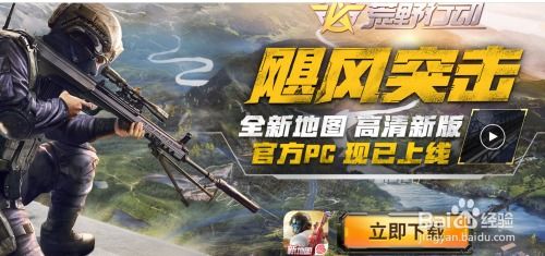 电脑怎么下载吃鸡游戏,畅玩吃鸡游戏攻略(图2) 电脑怎么下载吃鸡游戏,畅玩吃鸡游戏攻略(图2)