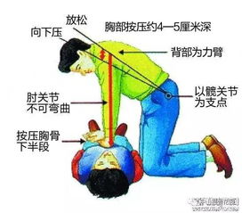 心肺类游戏,探索高效心肺类游戏体验(图2)