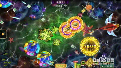星力网上打鱼游戏,赢取丰厚奖励(图3)