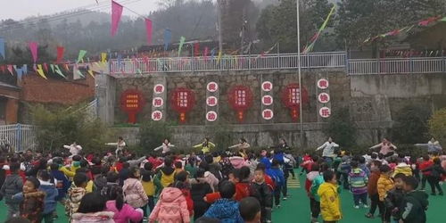 母鸡孵蛋音乐游戏视频,萌动心弦的亲子时光(图1)