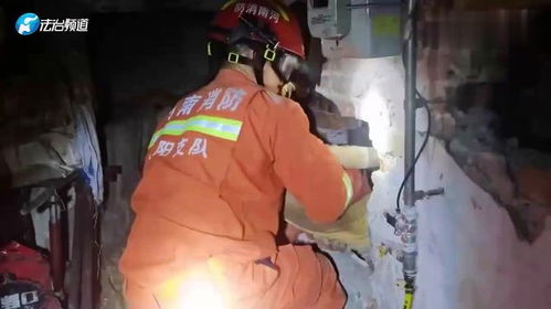 信阳打游戏,游戏之城的激情与梦想(图2) 信阳打游戏,游戏之城的激情与梦想(图2)