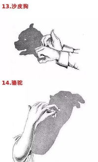 简单的手影游戏,手影游戏乐趣无限(图1) 简单的手影游戏,手影游戏乐趣无限(图1)