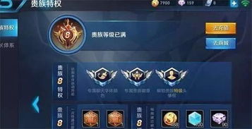 心悦3游戏,探寻无尽奇遇之旅(图3) 心悦3游戏,探寻无尽奇遇之旅(图3)