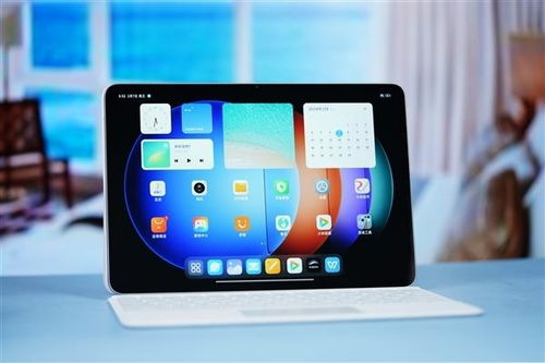 养鸡场大老板小游戏 (图2) 养鸡场大老板小游戏 (图2)
