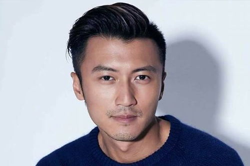 谢霆锋代言游戏是真的吗,明星效应还是商业炒作?(图2) 谢霆锋代言游戏是真的吗,明星效应还是商业炒作?(图2)