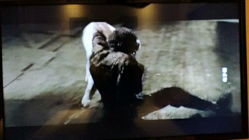 猎头游戏 mp4,职场精英的生死较量(图2)