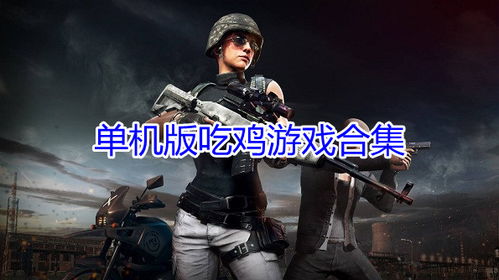 单机游戏吃鸡下载,体验独享的吃鸡乐趣(图2)