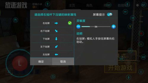 放逐游戏怎么调设置,深度解析设置调整攻略(图2)
