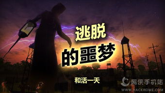 辐射岛怎么保存游戏,探索与保存之旅——游戏存档攻略揭秘(图2)