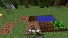 我的世界游戏的视频,我的世界游戏视频深度解析(图3) 我的世界游戏的视频,我的世界游戏视频深度解析(图3)