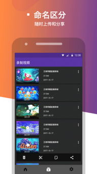 免费游戏录屏软件,轻松捕捉游戏精彩瞬间(图2) 免费游戏录屏软件,轻松捕捉游戏精彩瞬间(图2)