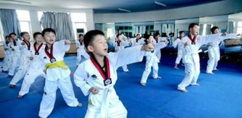 跆拳道教学游戏大全,激发孩子跆拳道兴趣(图3) 跆拳道教学游戏大全,激发孩子跆拳道兴趣(图3)