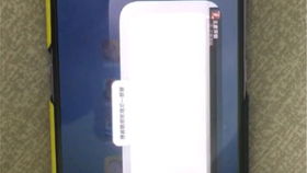 FK内核管理器 (图1) FK内核管理器 (图1)