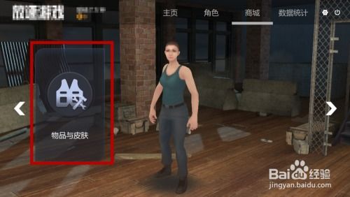 放逐游戏大逃杀道具,揭秘放逐游戏中的神秘道具(图1)