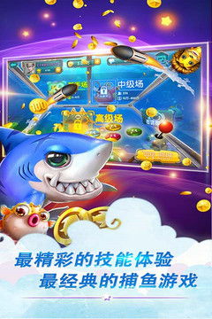 鱼丸游戏公众号多少,探寻神秘数字背后的游戏世界(图1)