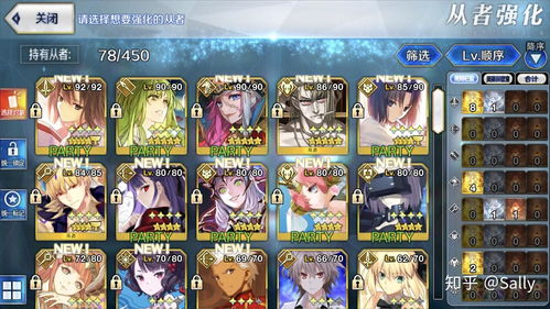 fgo游戏没声音,fgo无声之旅(图2)