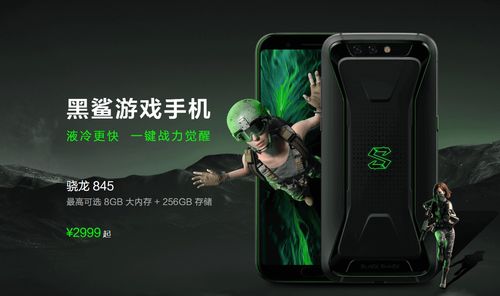 剑网3旗舰版 (图2)