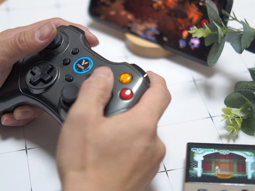 v3游戏手柄 (图3)