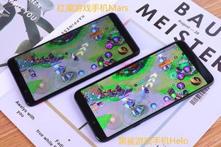 宝宝玩对比 (图1)