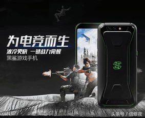 新不良人正版安卓手机游戏下载 (图2)