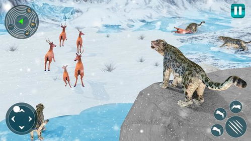 雪豹模拟游戏(图1) 雪豹模拟游戏(图1)