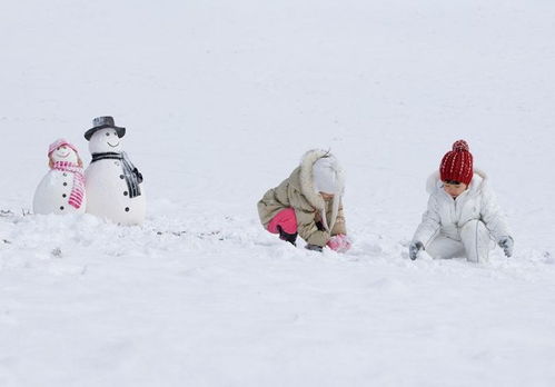 雪上互动游戏,雪上互动游戏的奇幻冒险之旅(图3) 雪上互动游戏,雪上互动游戏的奇幻冒险之旅(图3)