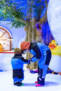 雪上互动游戏,雪上互动游戏的奇幻冒险之旅(图2) 雪上互动游戏,雪上互动游戏的奇幻冒险之旅(图2)