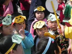 户外游戏红绿灯,安全与规则的守护者(图1)