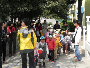 户外游戏红绿灯,安全与规则的守护者(图3)