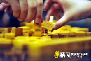 做棋牌类游戏,智慧与策略的巅峰对决(图3) 做棋牌类游戏,智慧与策略的巅峰对决(图3)