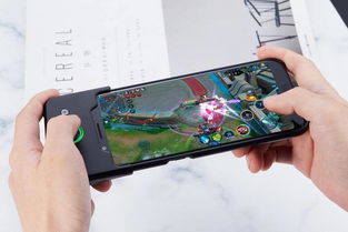 新游戏手机(图2) 新游戏手机(图2)