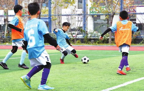 小学足球游戏有哪些(图2) 小学足球游戏有哪些(图2)