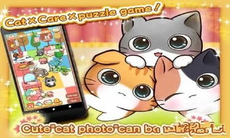 小游戏猫咪(图1) 小游戏猫咪(图1)