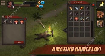 手机游戏迷之岛攻略,解锁神秘岛屿的生存秘籍(图1) 手机游戏迷之岛攻略,解锁神秘岛屿的生存秘籍(图1)