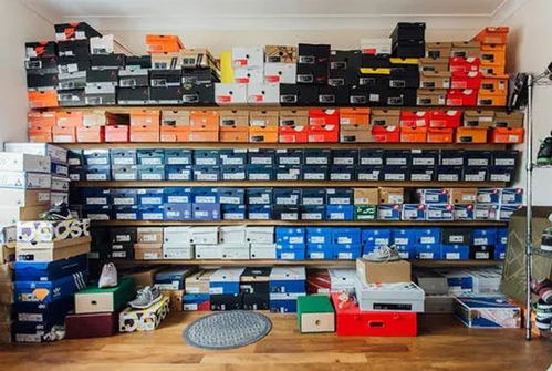 鞋盒子游戏,鞋盒子游戏的奇妙冒险之旅(图2)