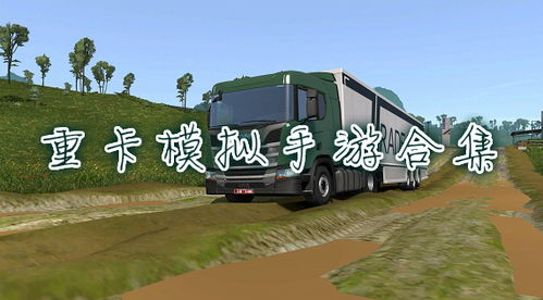 货车单机游戏,货车单机游戏深度解析(图2) 货车单机游戏,货车单机游戏深度解析(图2)