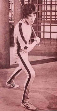 李小龙死亡游戏鞋子(图2) 李小龙死亡游戏鞋子(图2)