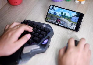 吃鸡游戏键盘操作说明,轻松掌握吃鸡技巧(图1) 吃鸡游戏键盘操作说明,轻松掌握吃鸡技巧(图1)