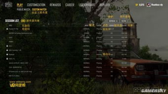 绝地求生游戏菜单翻译,绝地求生游戏菜单功能解析与操作指南(图3)