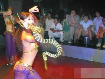 夜总会玩的游戏大全,揭秘热门娱乐项目大盘点(图1) 夜总会玩的游戏大全,揭秘热门娱乐项目大盘点(图1)