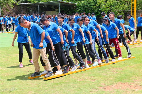 茶山拓展训练有哪些游戏,团队协作与挑战乐趣并重(图1)