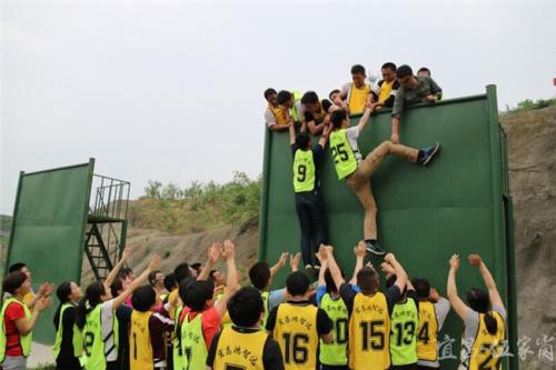 茶山拓展训练有哪些游戏,团队协作与挑战乐趣并重(图2)