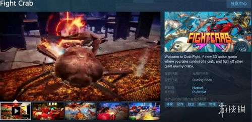 蟹斗游戏,一场别开生面的海洋竞技盛宴(图3)