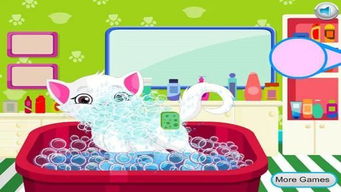 整理小帮手 (图1) 整理小帮手 (图1)