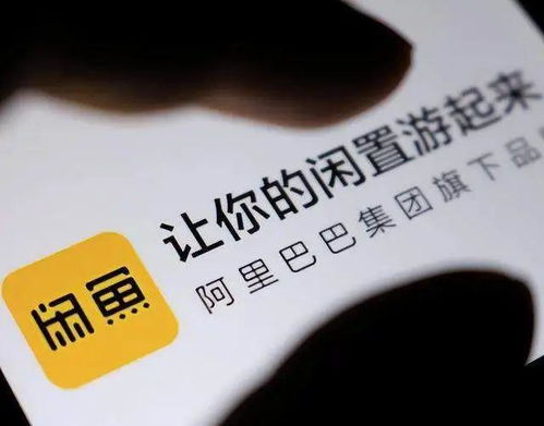 小游戏闲鱼,乐趣无穷(图2)